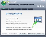 4Easysoft Streaming Video Recorder screenshot